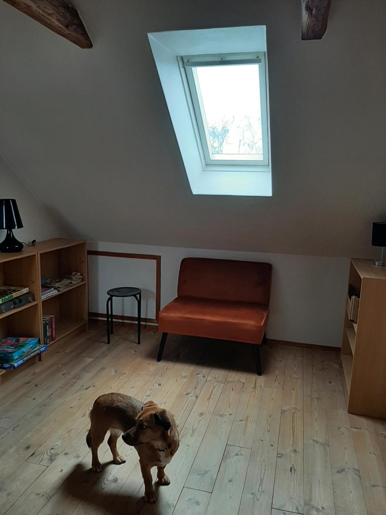 Stor Villa I Lendemarke Stege Exteriér fotografie